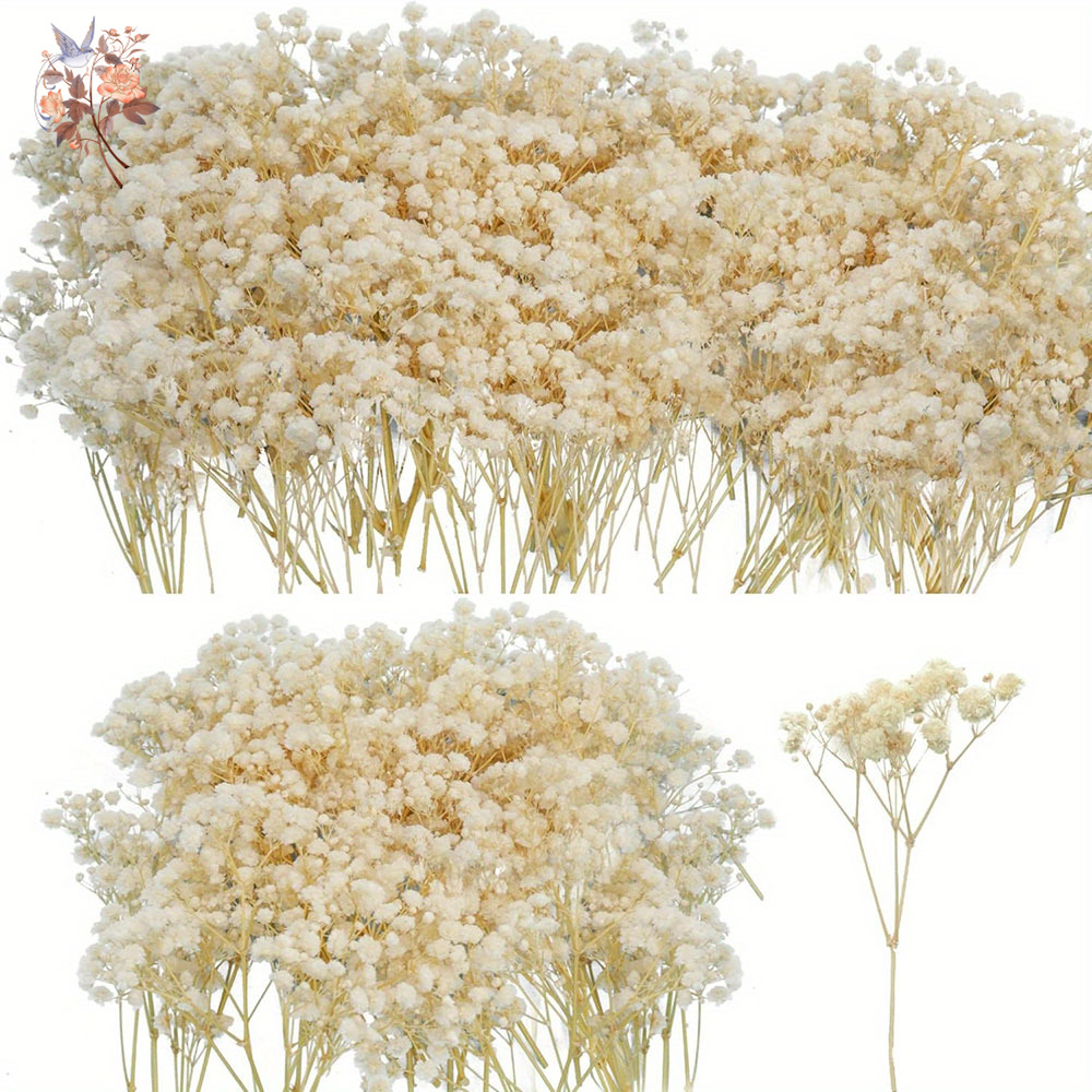 Candle Making Uk - Mini Kurutulmuş Gypsophila Çiçek DIY Aromaterapi