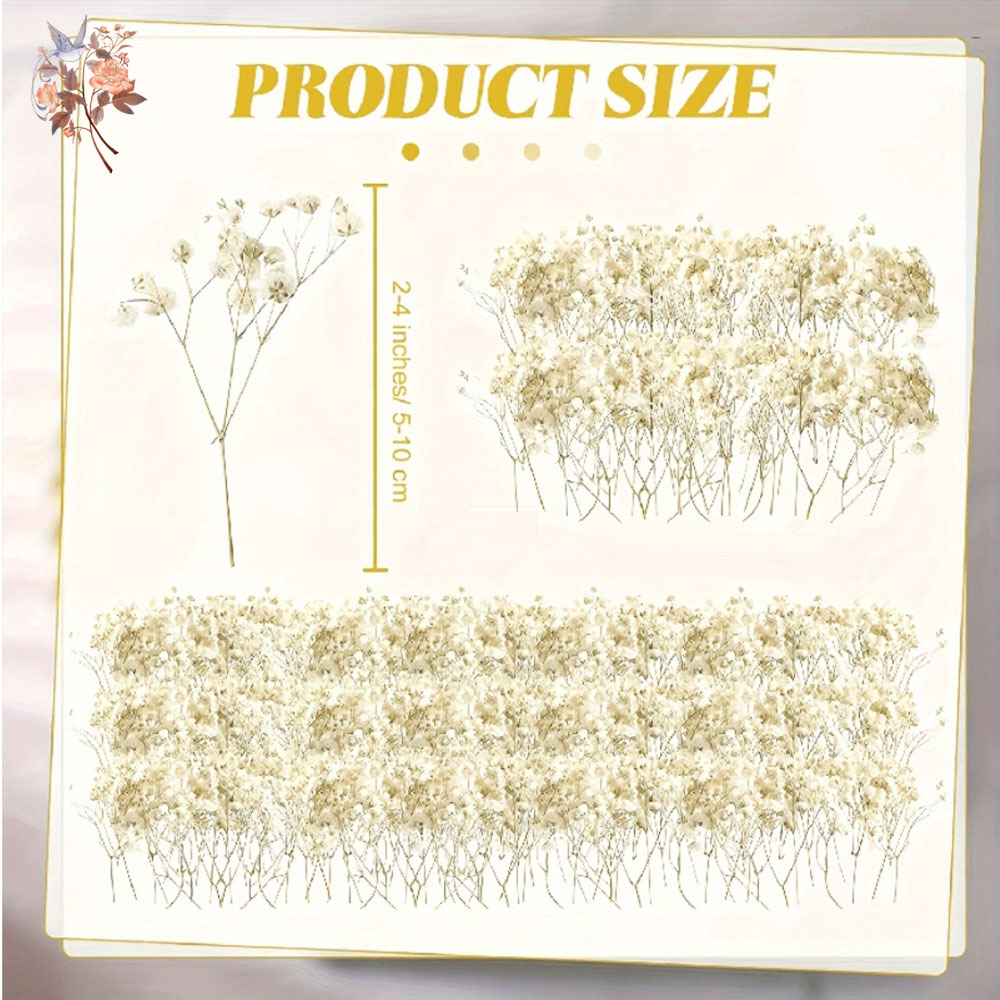 Mini Kurutulmuş Gypsophila Çiç - Candle Making Uk incelemesi ve fiyatı